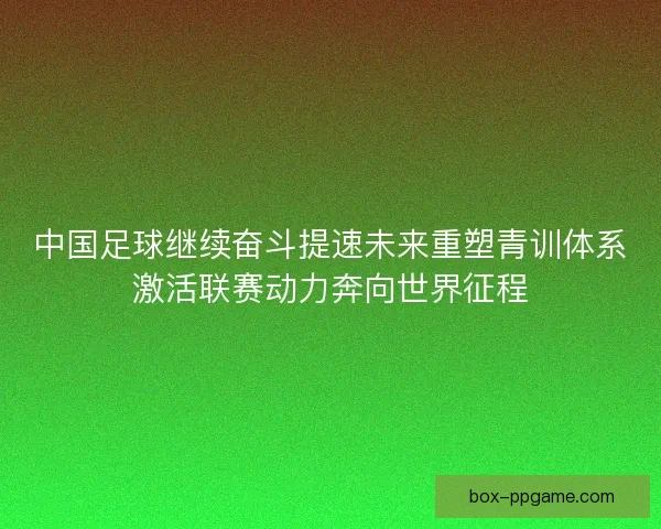 中国足球继续奋斗提速未来重塑青训体系激活联赛动力奔向世界征程
